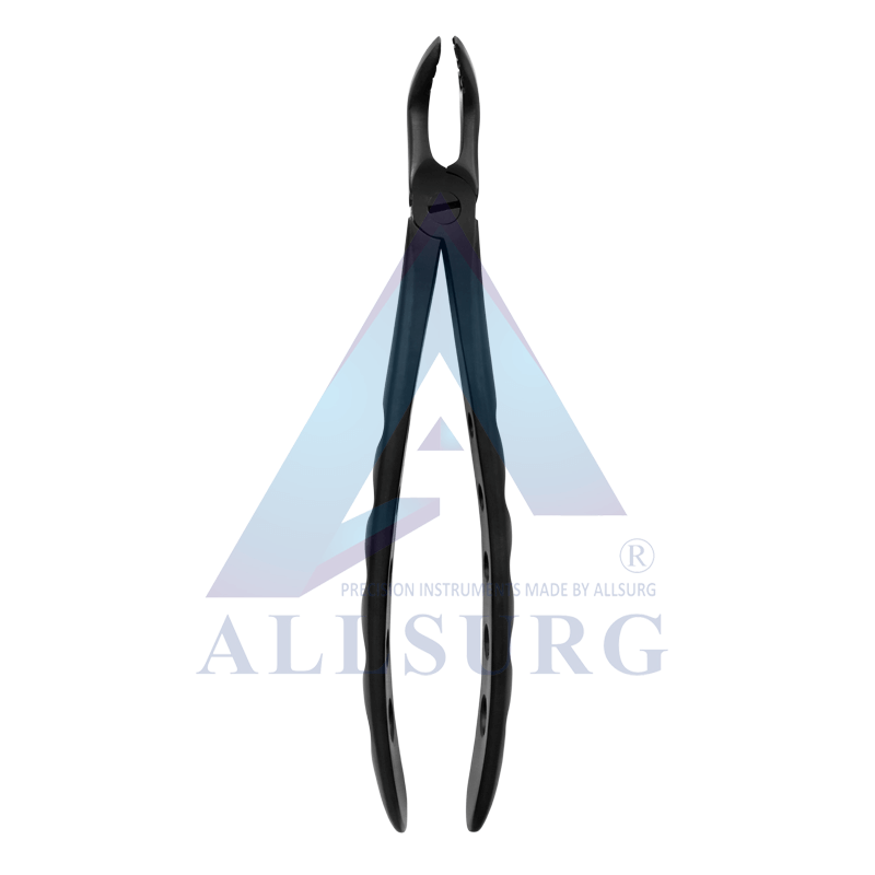 LOWER MOLARS SUB-GINGIVAL BLACK