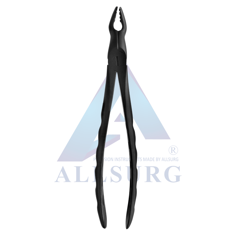 UPPER MOLARS SUB-GINGIVAL BLACK