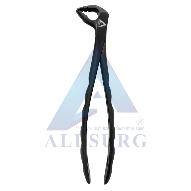 LOWER ANTERIORS SUB-GINGIVAL BLACK
