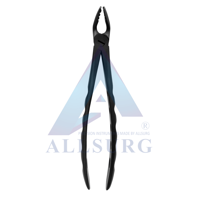LOWER PREMOLARS SUB-GINGIVAL BLACK