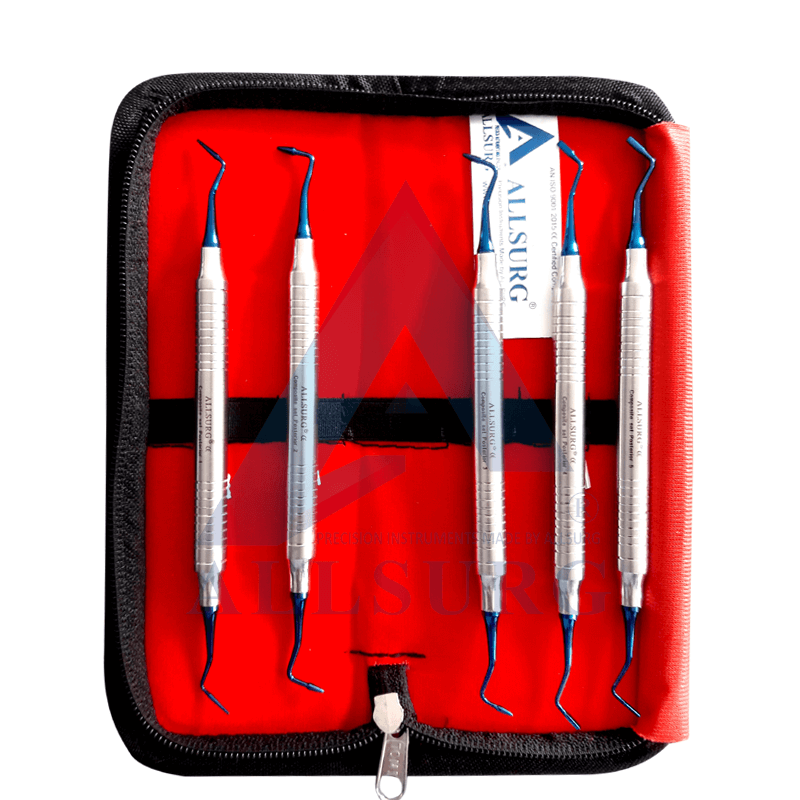 COMPOSITE INSTRUMENT POSTERIOR SET OF 5 IN BAG