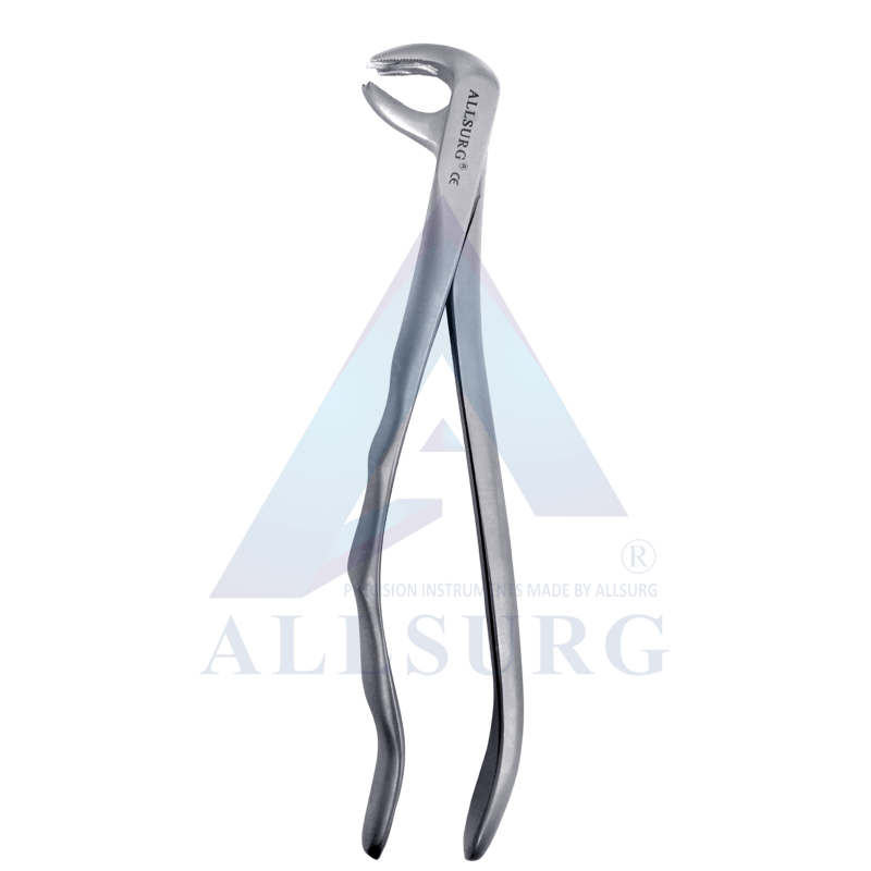 LOWER MOLARS FIG-73 PREMIUM