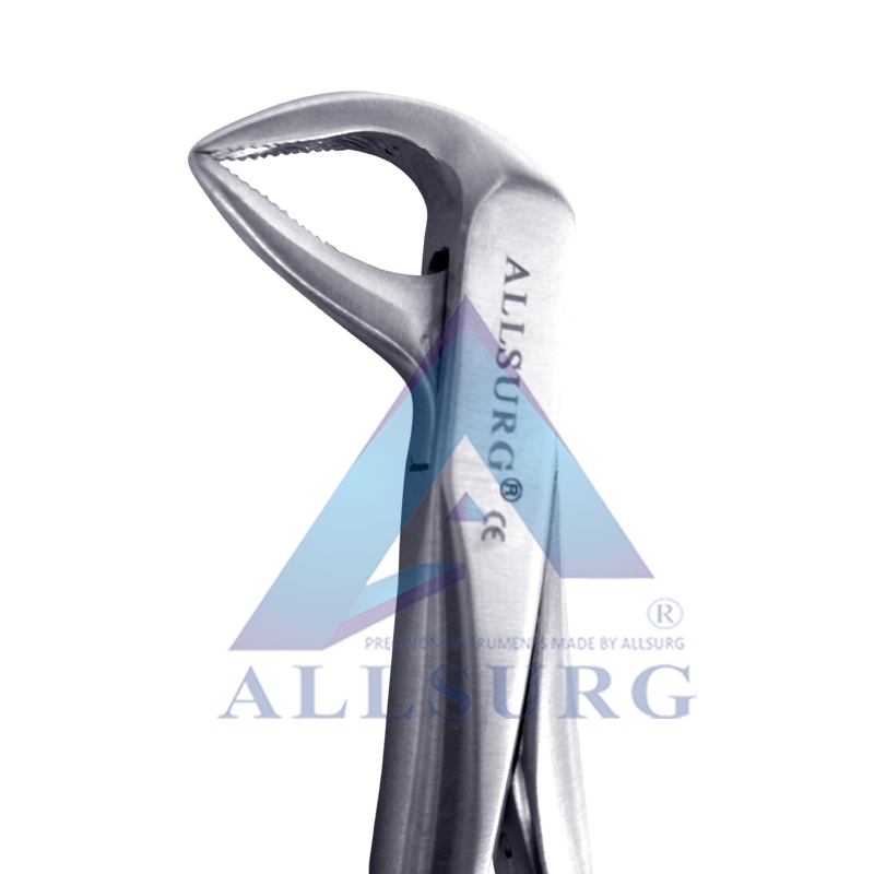 LOWER ROOTS FIG-74N PREMIUM