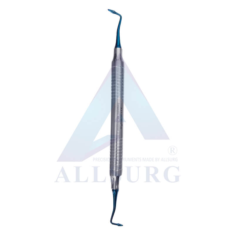 COMPOSITE INSTRUMENT PREMIUM POSTERIOR #  2
