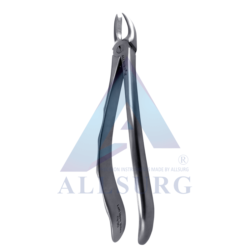 UPPER MOLAR LEFT FIG-90 PREMIUM