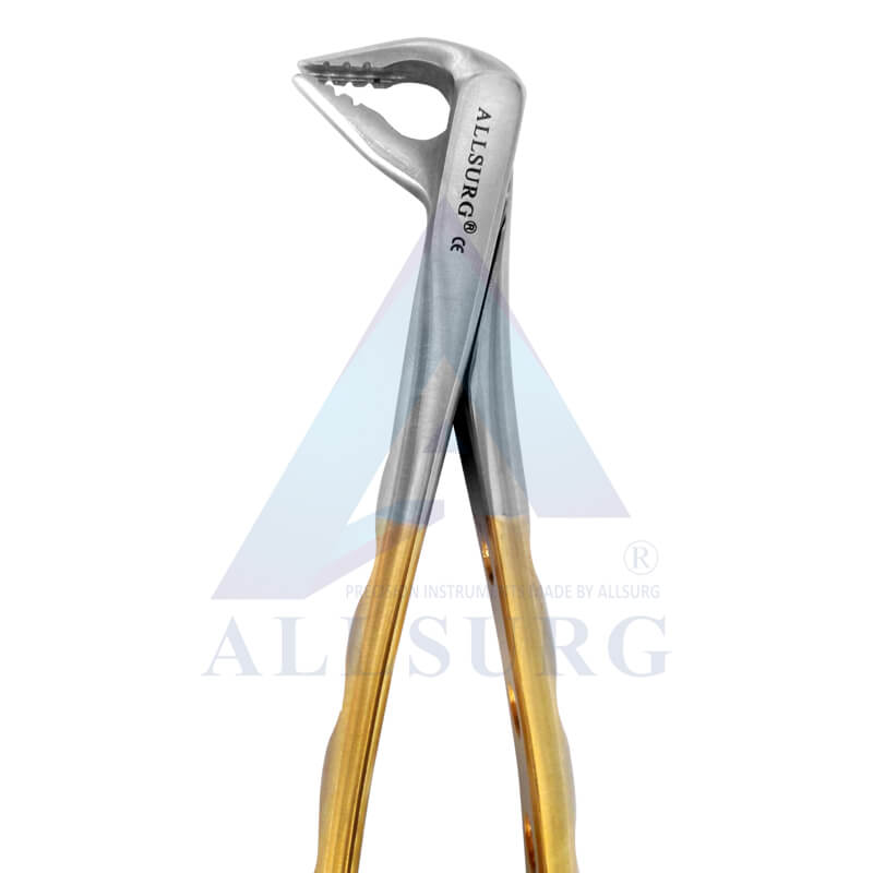 LOWER ANTERIORS SUB-GINGIVAL GOLDEN