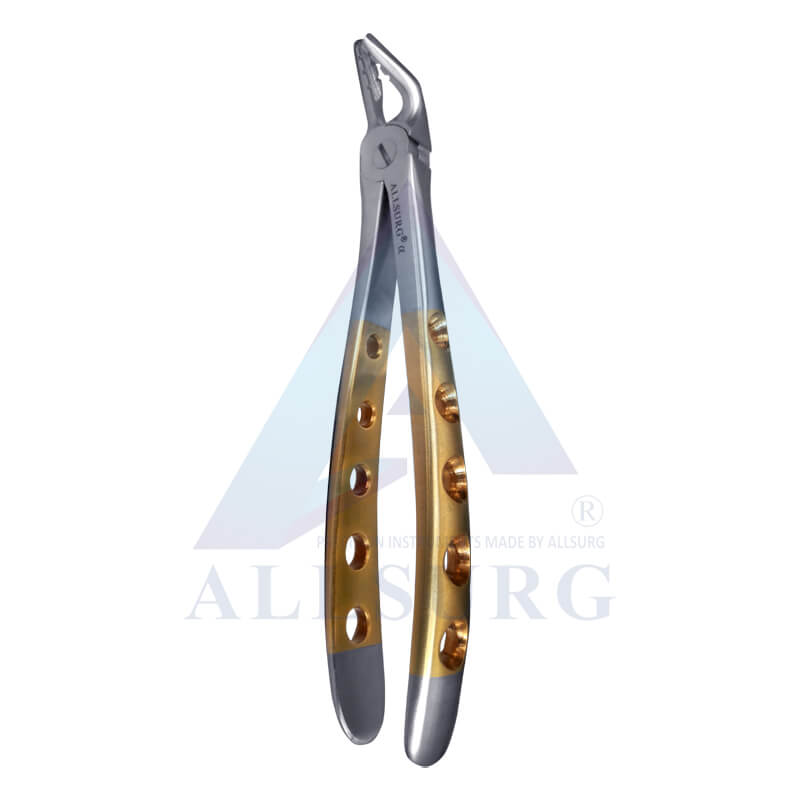 LOWER PREMOLARS SUB-GINGIVAL GOLDEN