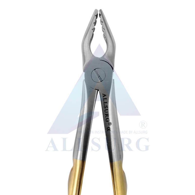 UPPER ANTERIORS SUB-GINGIVAL GOLDEN