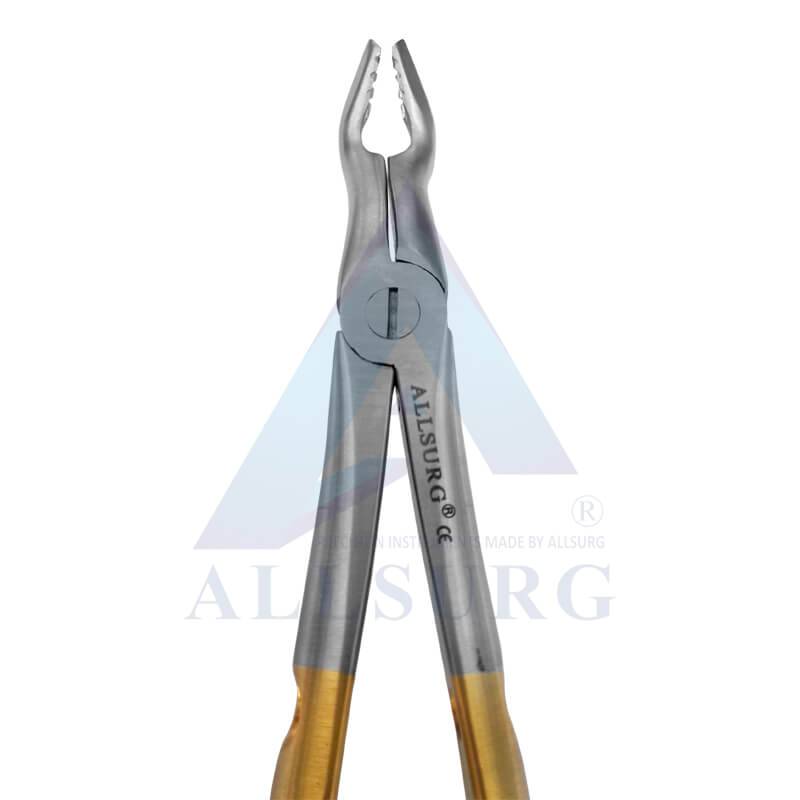UPPER MOLARS SUB-GINGIVAL GOLDEN