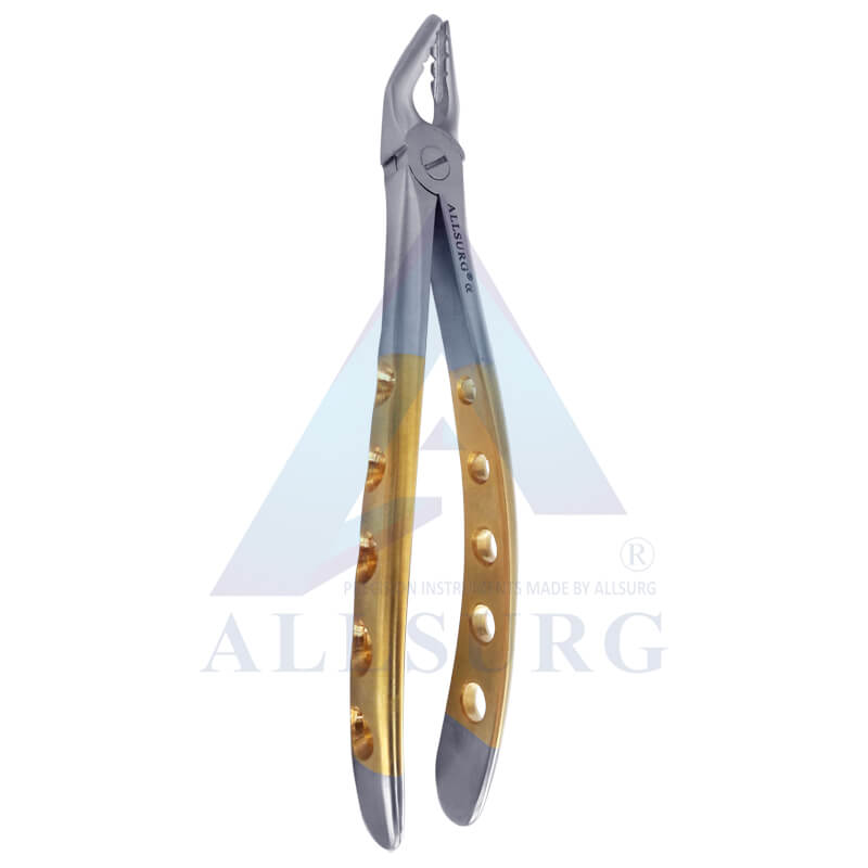 UPPER PREMOLAR SUB-GINGIVAL GOLDEN