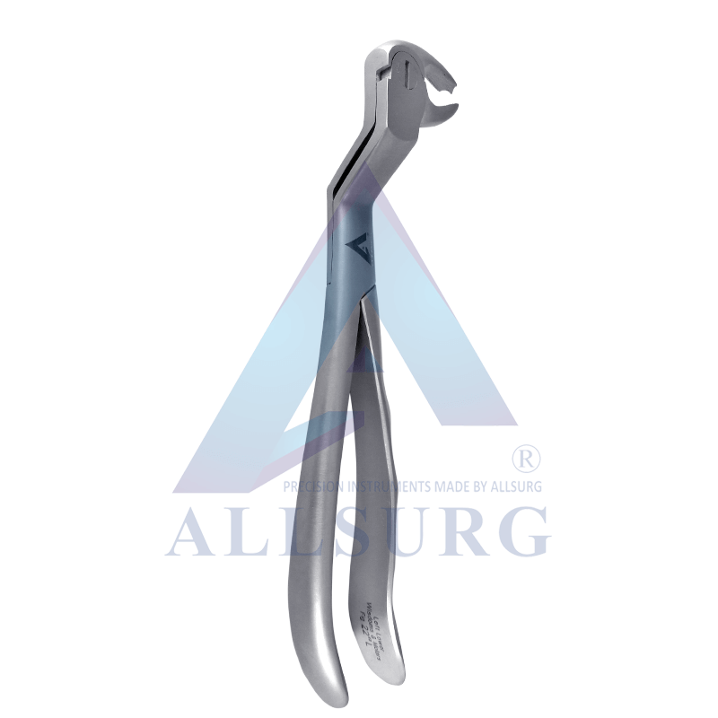 LOWER 3RD MOLAR LEFT MODIFIED FIG- 22L