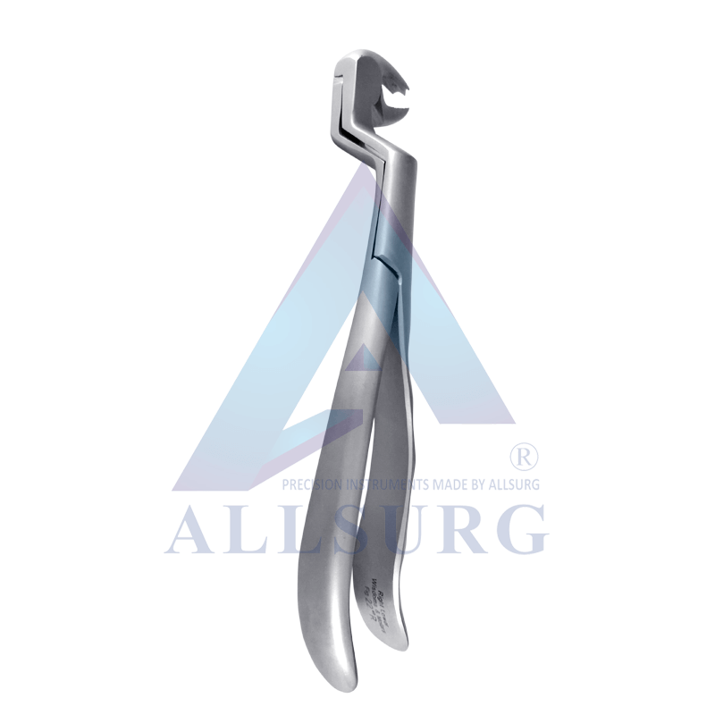 LOWER 3RD MOLAR RIGHT FIG-22R