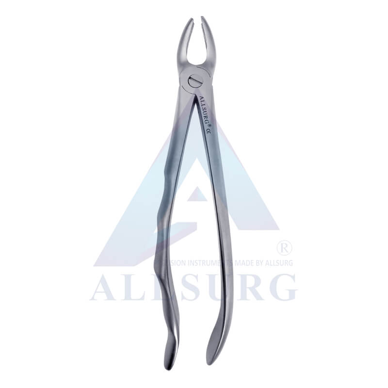 UPPER MOLARS LEFT FIG-18 PREMIUM