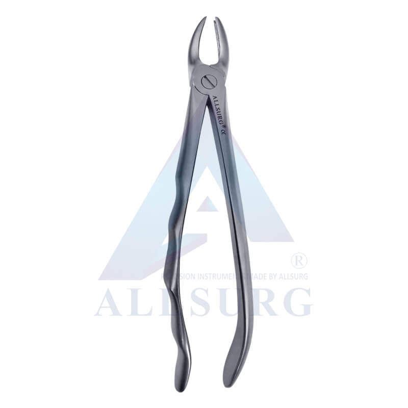 UPPER MOLAR RIGHT FIG-89 PREMIUM