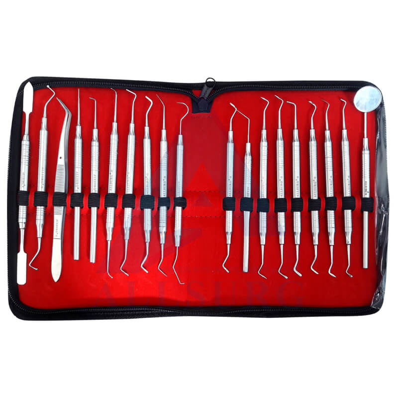CONSERVATIVE SCALER SET OF 19 IN BAG