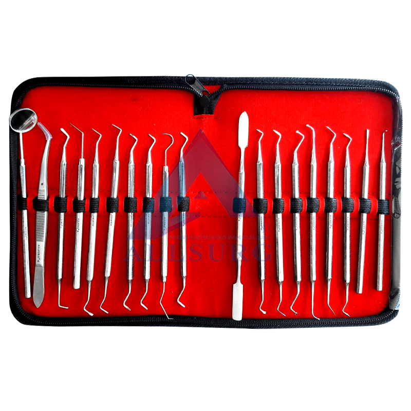 CONSERVATIVE SCALER SET OF 19 STANDARD IN BAG