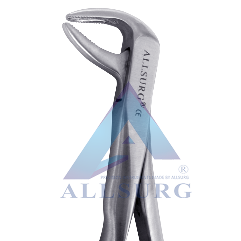 LOWER PREMOLARS FIG-75 PREMIUM