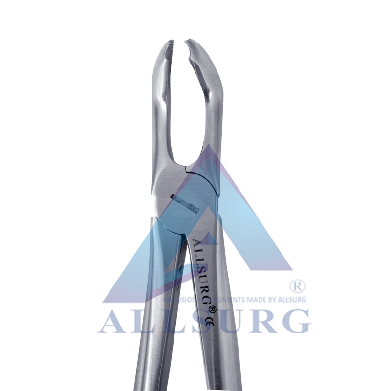 LOWER THIRD MOLARS FIG-79 PREMIUM