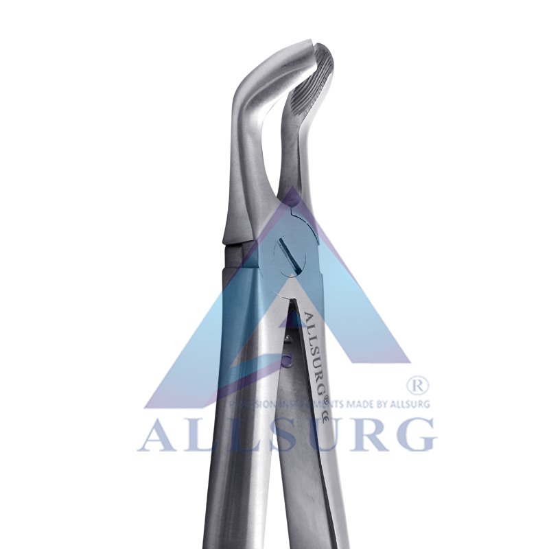 LOWER THIRD MOLAR FIG-79A