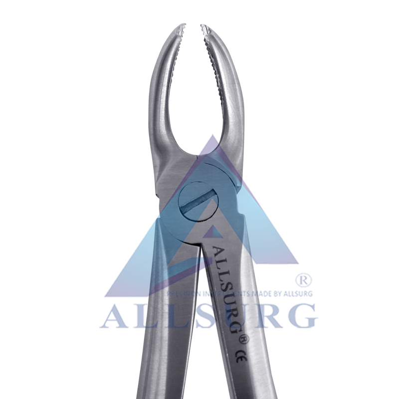 UPPER MOLARS FIG-18A PREMIUM