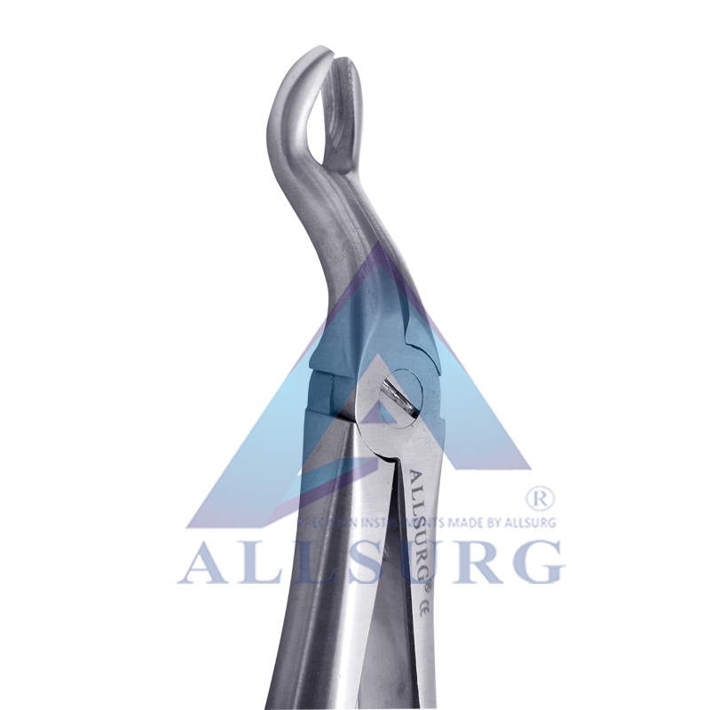 UPPER THIRD MOLAR FIG-67A PREMIUM