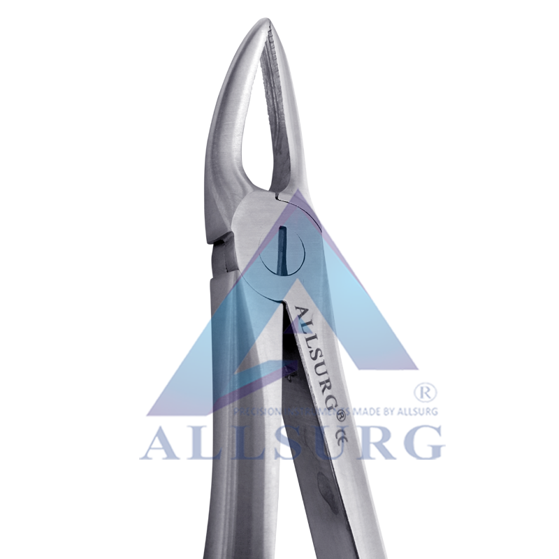 UPPER ROOTS FIG-30 PREMIUM