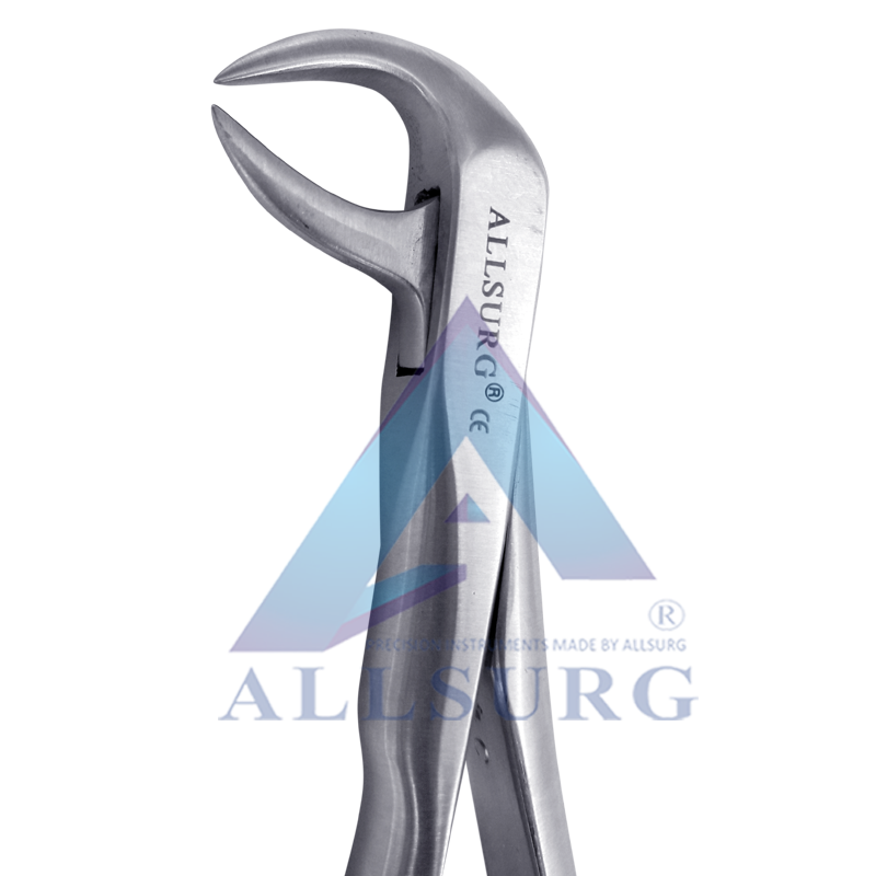 LOWER MOLARS FIG-86C PREMIUM