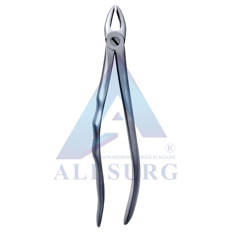UPPER ANTERIORS FIG-01 PREMIUM