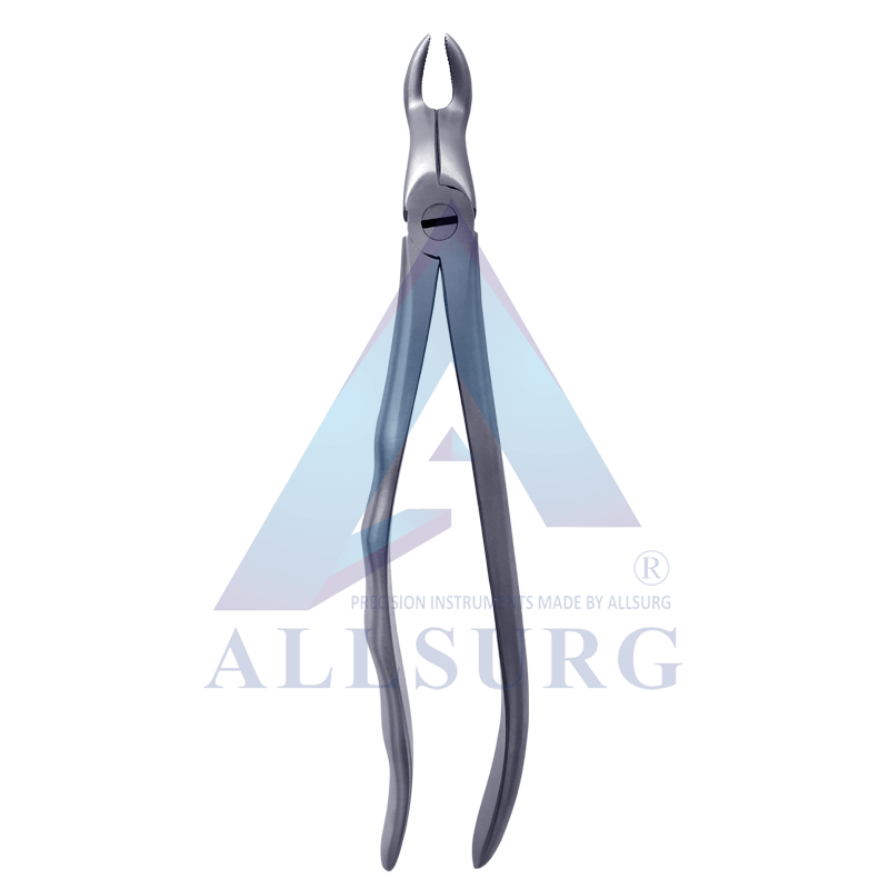 UPPER THIRD MOLAR FIG-67 PREMIUM